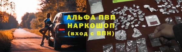 Альфа ПВП Белокуриха