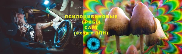 Альфа ПВП Белокуриха