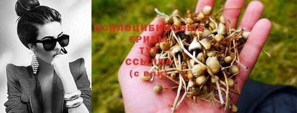 Альфа ПВП Белокуриха