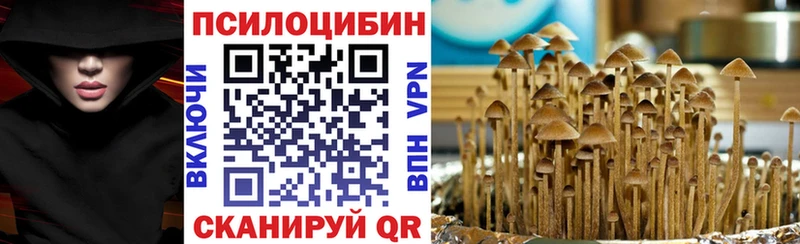 Галлюциногенные грибы Psilocybine cubensis  Павловск 